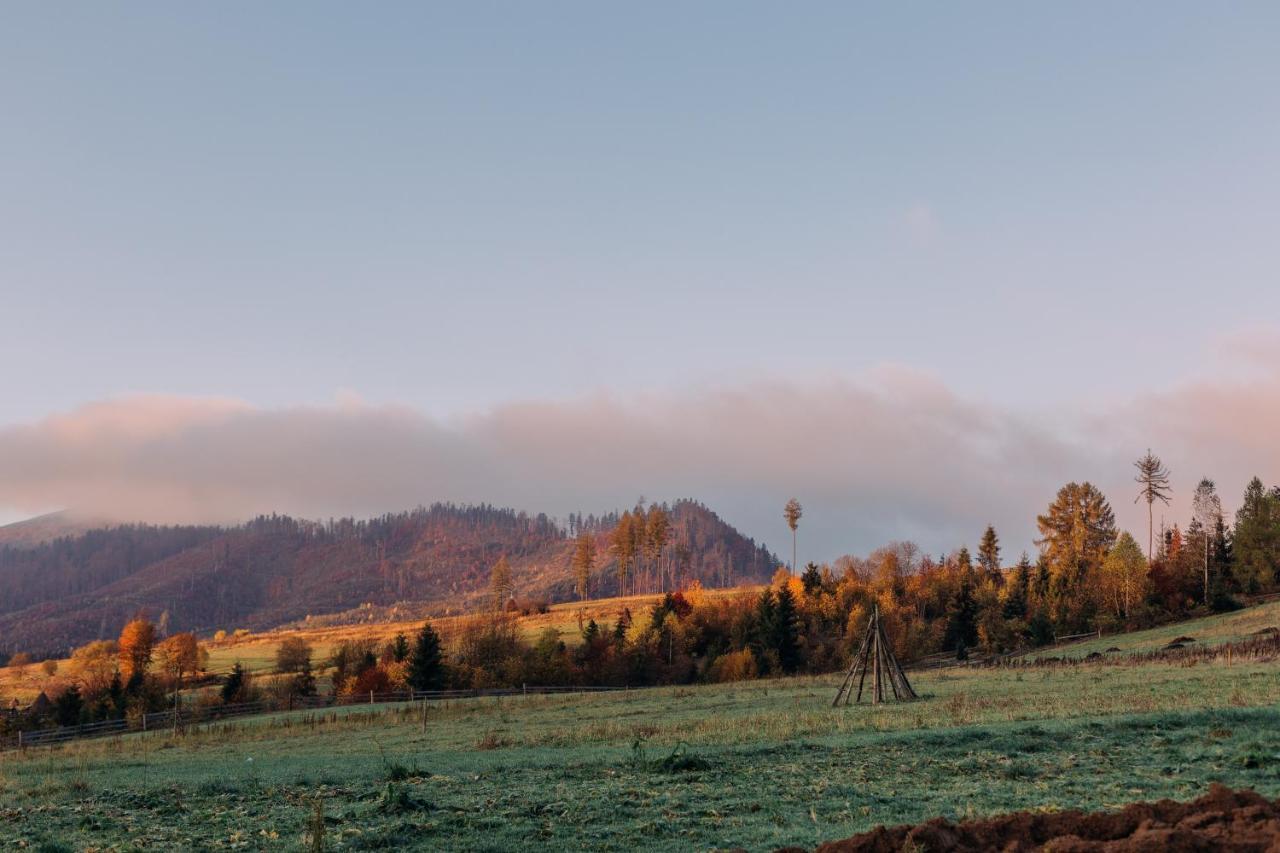 Chalet Borzhava Huklyvyy Exteriör bild